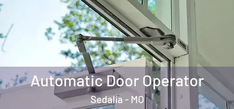 Automatic Door Operator Sedalia - MO