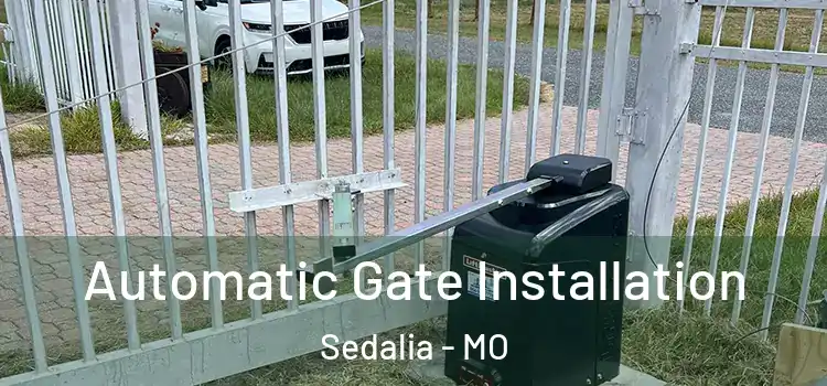 Automatic Gate Installation Sedalia - MO