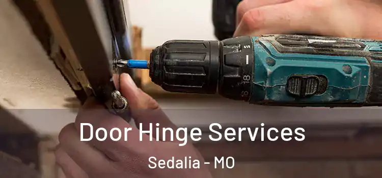 Door Hinge Services Sedalia - MO