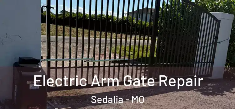Electric Arm Gate Repair Sedalia - MO
