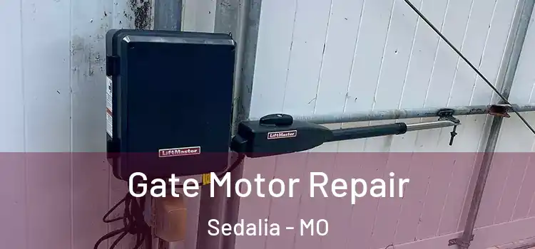 Gate Motor Repair Sedalia - MO