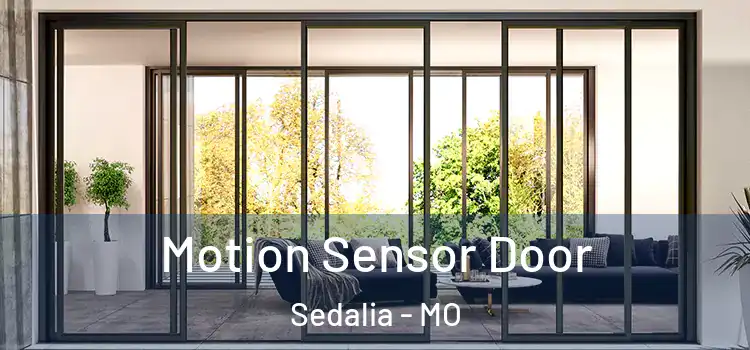 Motion Sensor Door Sedalia - MO